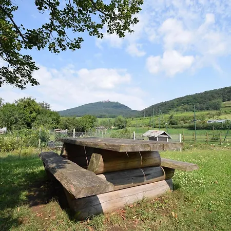 Au Pied Du Koenigsbourg 2 Apartament *