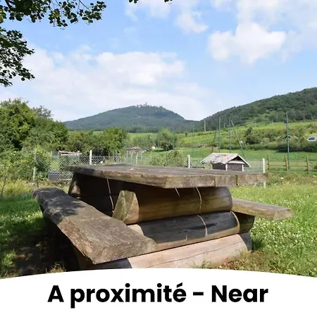 Au Pied Du Koenigsbourg شقة سانت هيبوليت