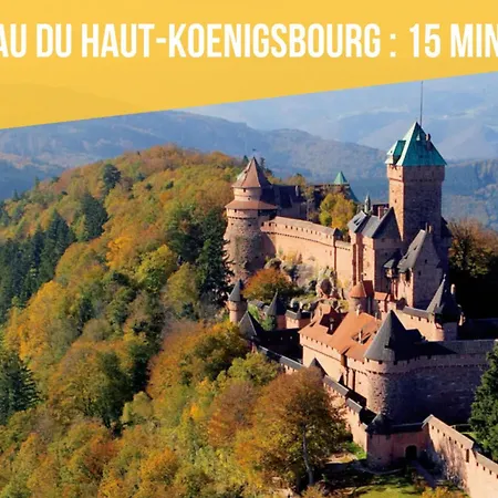 Appartement Au Pied Du Haut-koenigsbourg - Route Des Vins - Coeur Du Vignoble - Proche Colmar & Selestat