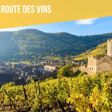 Appartement Au Pied Du Haut-koenigsbourg - Route Des Vins - Coeur Du Vignoble - Proche Colmar & Selestat *