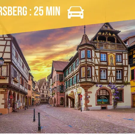 Au Pied Du Haut-koenigsbourg - Route Des Vins - Coeur Du Vignoble - Proche Colmar & Selestat Appartement Saint-Hippolyte (Haut-Rhin)