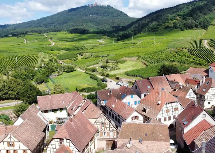 Appartement Au Pied Du Koenigsbourg *