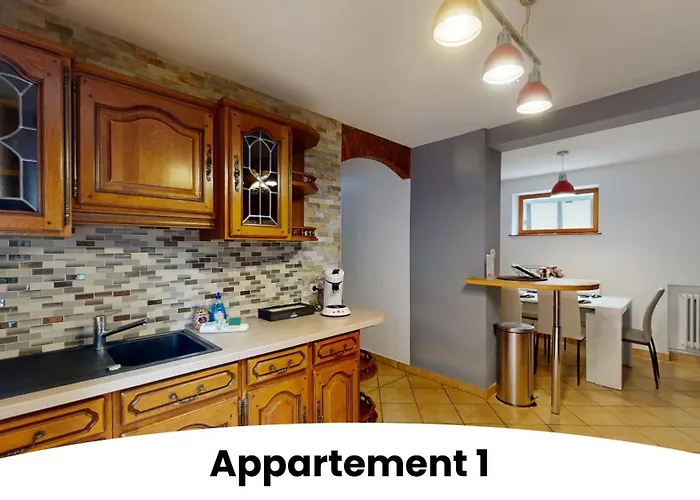 Au Pied Du Koenigsbourg Appartement *
